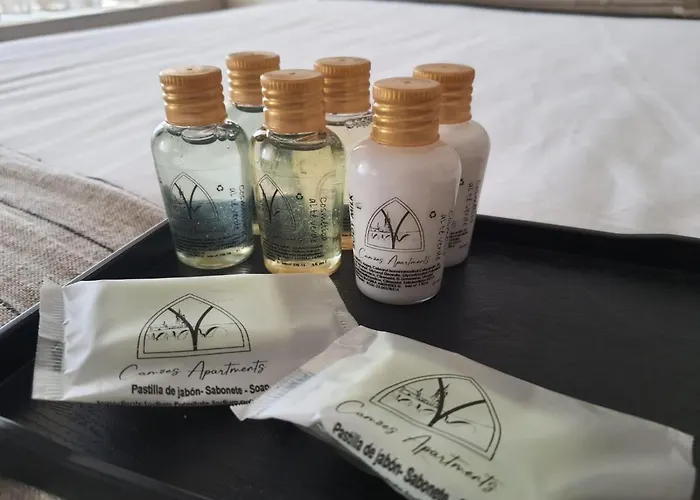 Camoes Bed & Breakfast